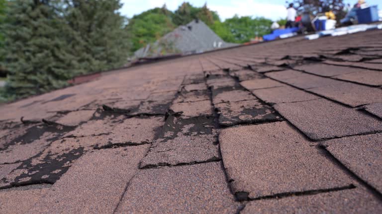 Best Rubber Roofing (EPDM, TPO)  in Cloverdale, CA
